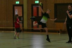 Benefitzspiel_SGH_ASV-Hamm_30012019_90_2019