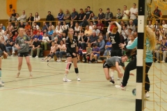 P1150464