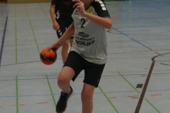 P1150685_1