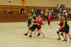 SGH_E-Jugend_05_103_2023_11