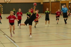 SGH_E-Jugend_05_103_2024